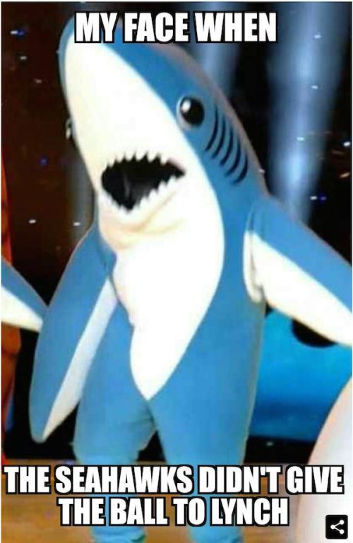 The Best Memes From Super Bowl XLIX (23 pics)