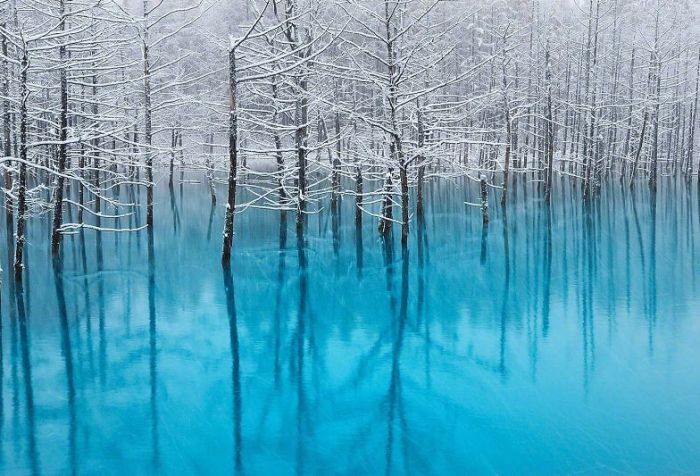 This Pond Changes Colors With The Seasons (14 pics)