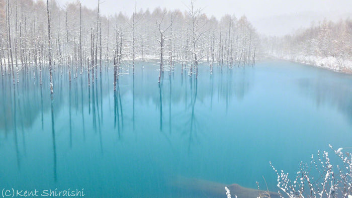 This Pond Changes Colors With The Seasons (14 pics)