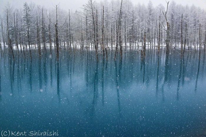 This Pond Changes Colors With The Seasons (14 pics)