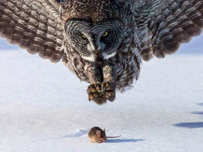 Oh Sh*t. Part 14 (47 pics)