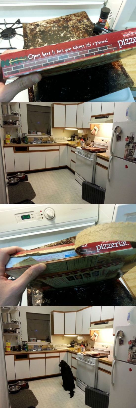This Is Why People Have Trust Issues (31 pics)