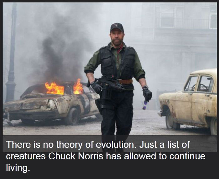 These Chuck Norris Facts Might Change Your Life (24 pics)