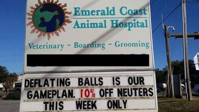 Work Fails & Job LOLs. Part 37 (47 pics)