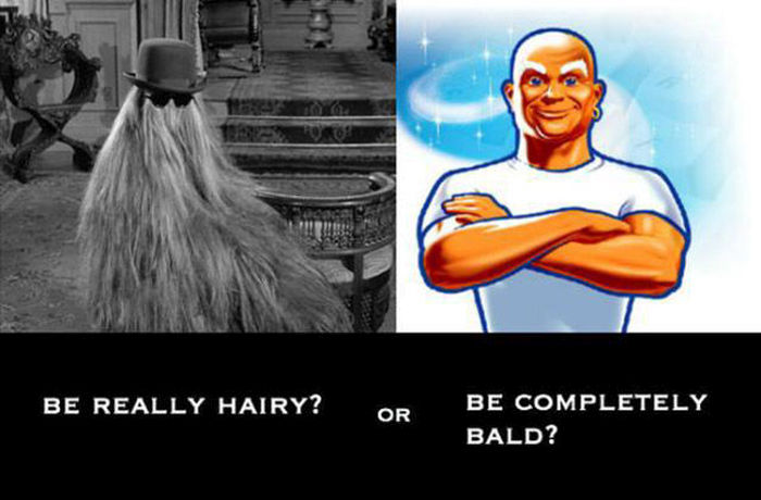 If You Could Only Pick One Which One Would It Be? (15 pics)