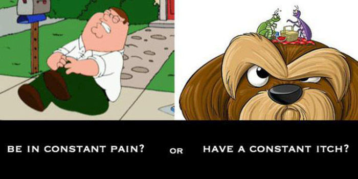 If You Could Only Pick One Which One Would It Be? (15 pics)
