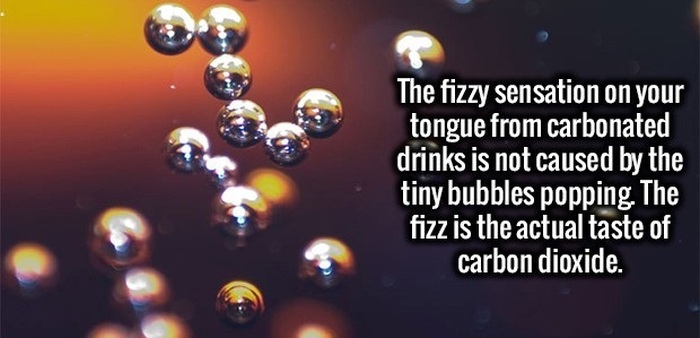 These Interesting Facts Will Give Your Brain Some Exercise (34 pics)