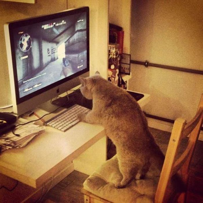 Pictures for Gamers. Part 5 (49 pics)