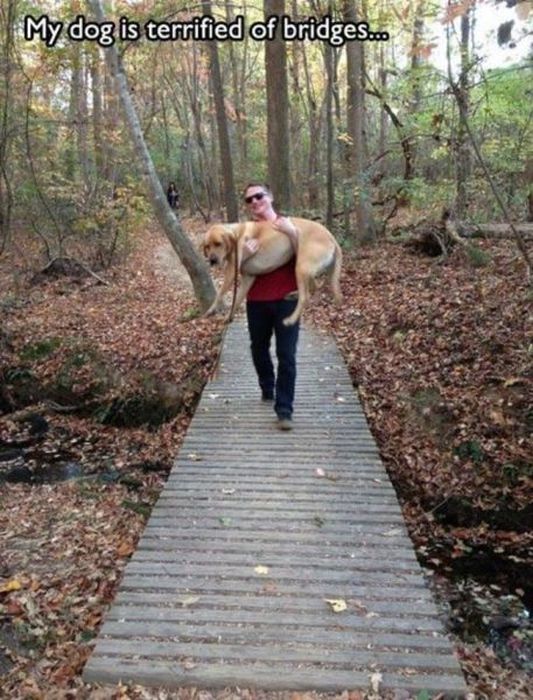 Things That Only Dog Owners Will Be Able To Understand (29 pics)