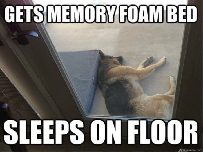 Things That Only Dog Owners Will Be Able To Understand (29 pics)