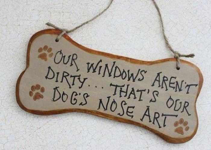 Things That Only Dog Owners Will Be Able To Understand (29 pics)