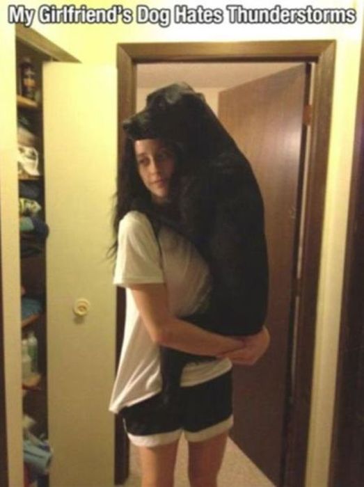Things That Only Dog Owners Will Be Able To Understand (29 pics)