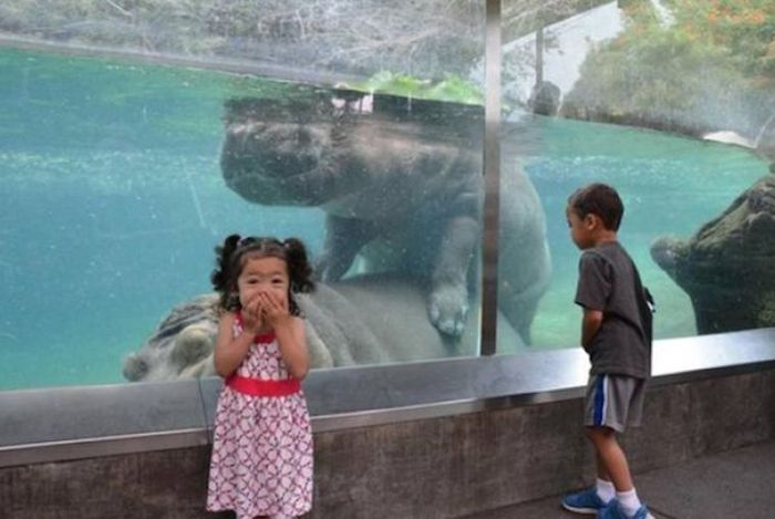 These Kids Got A Sex Ed Lesson From The Zoo Animals (9 pics)