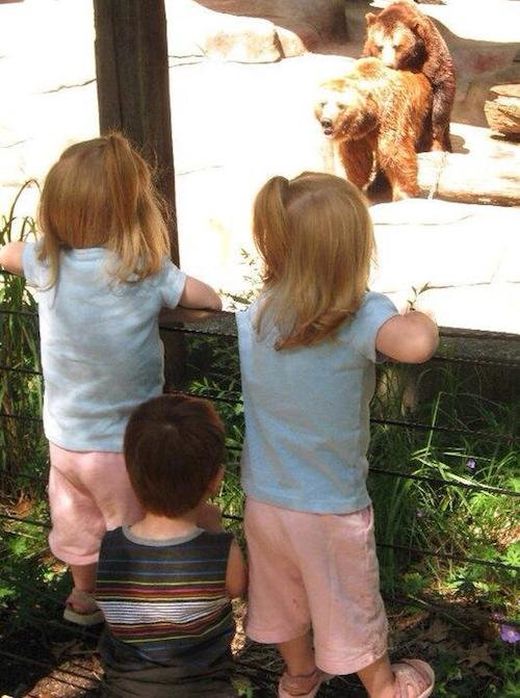 These Kids Got A Sex Ed Lesson From The Zoo Animals (9 pics)