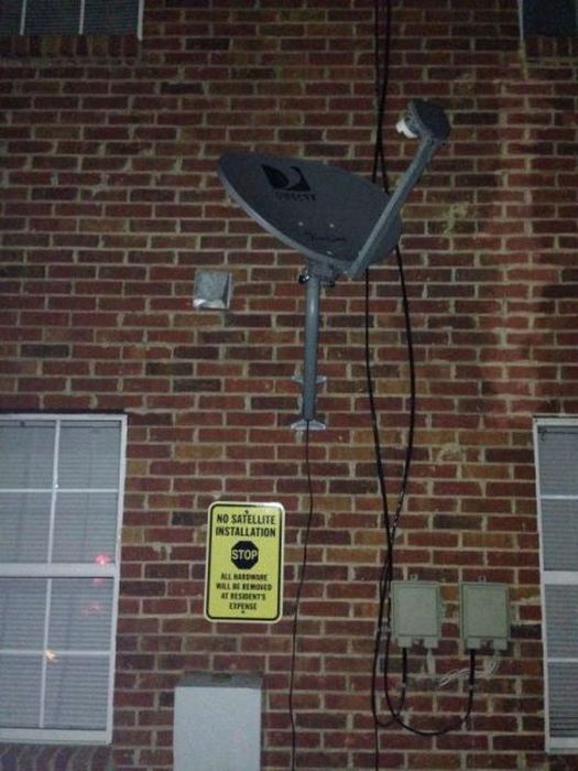 I Do What I Want. Part 50 (41 pics)