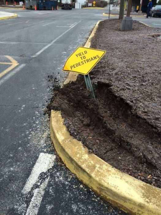 I Do What I Want. Part 50 (41 pics)