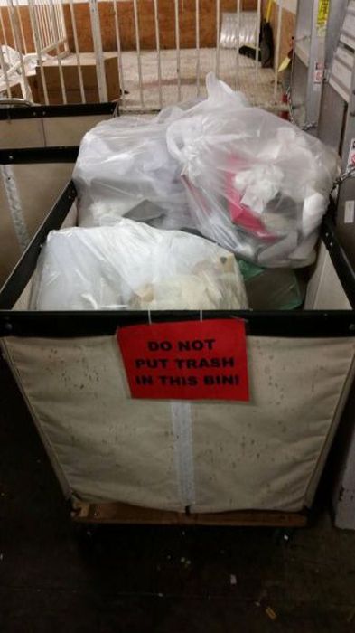 I Do What I Want. Part 50 (41 pics)