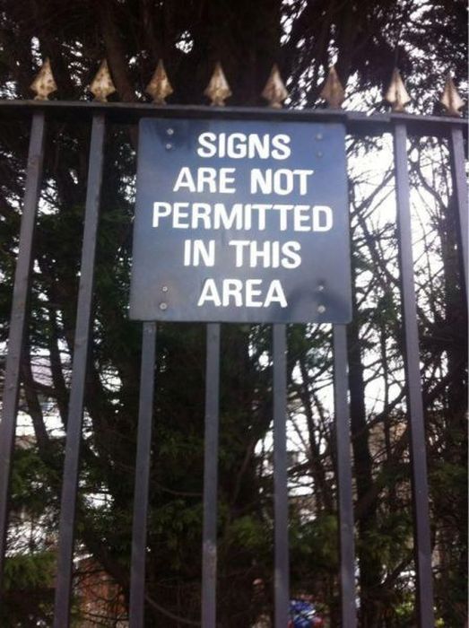 I Do What I Want. Part 50 (41 pics)