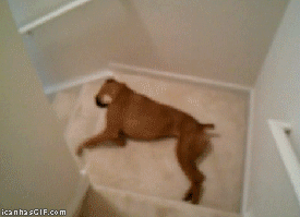 Extreme Laziness (64 pics)