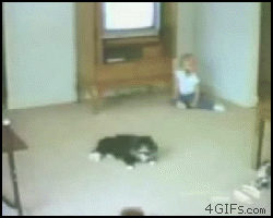 Extreme Laziness (64 pics)
