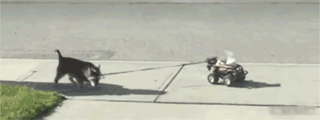 Extreme Laziness (64 pics)