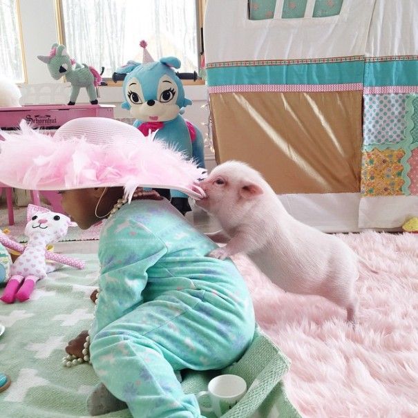 This 2 Year Old Girl Is Best Friends With A Pig (18 pics)
