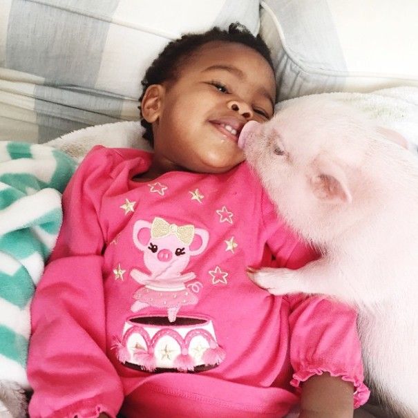 This 2 Year Old Girl Is Best Friends With A Pig (18 pics)