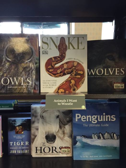 Local Guy Makes Better Book Sections At The Local Store (9 pics)