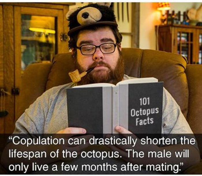This Creature Shouldn't Be Excited About Having Sex (11 pics)