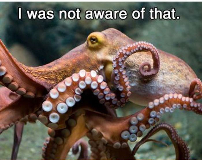 This Creature Shouldn't Be Excited About Having Sex (11 pics)