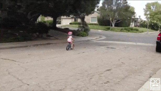 This GIFS Pay Tribute To Dads With Awesome Reflexes (21 gifs)