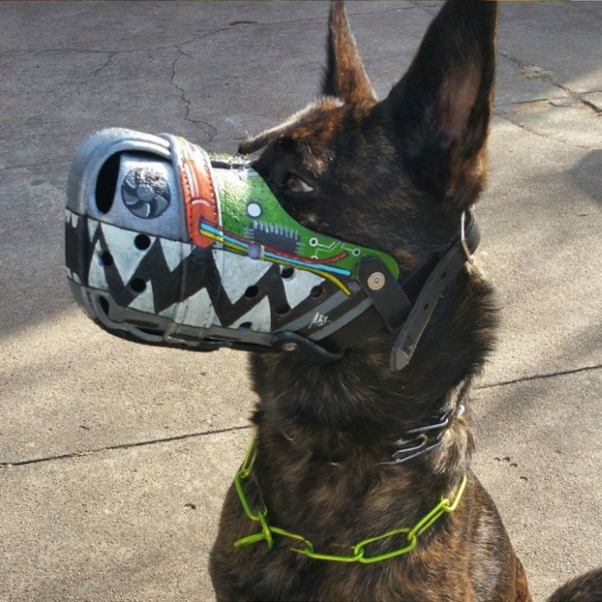 The Most Intimidating Muzzles You Can Buy For Your Dog (18 pics)