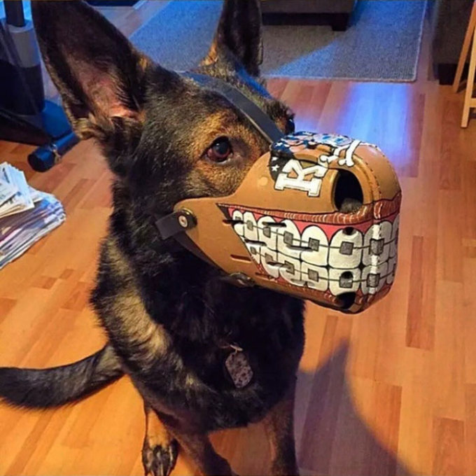 The Most Intimidating Muzzles You Can Buy For Your Dog (18 pics)
