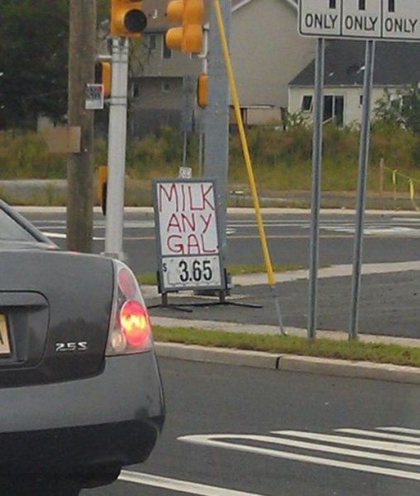 Stupid and Crazy Signs (43 pics)