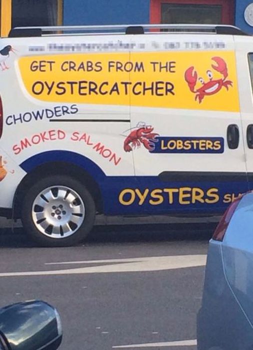 Stupid and Crazy Signs (43 pics)