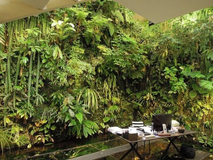 This Jungle Is Not What It Appears To Be (7 pics)