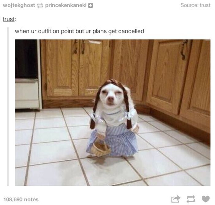 Tumblr Definitely Has The Funniest Posts About Animals (48 pics)