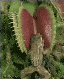 These Are Some Great Reasons To Be Afraid Mother Nature (16 pics)