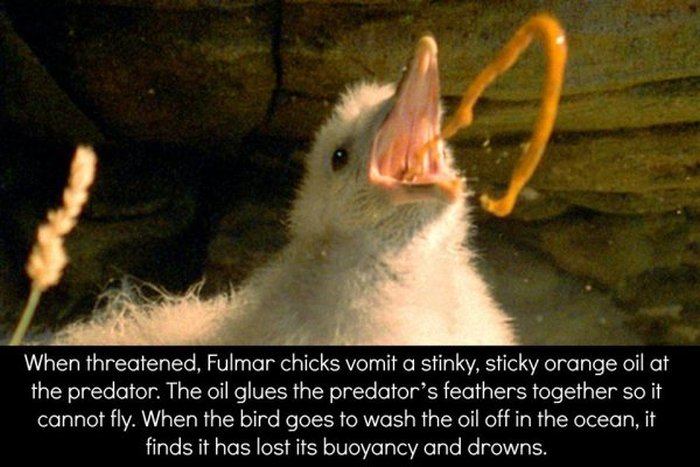 These Are Some Great Reasons To Be Afraid Mother Nature (16 pics)