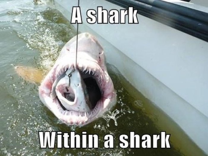 These Are Some Great Reasons To Be Afraid Mother Nature (16 pics)