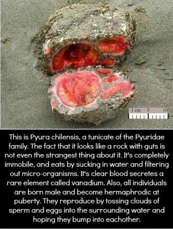 These Are Some Great Reasons To Be Afraid Mother Nature (16 pics)