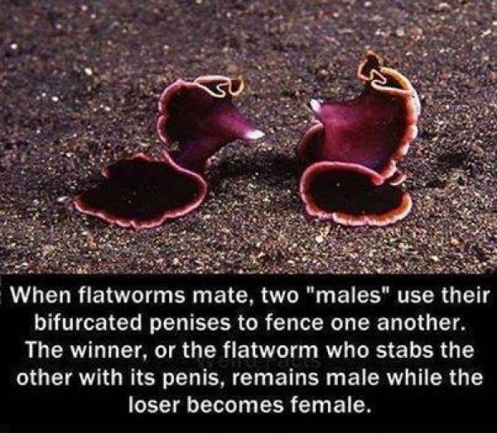 These Are Some Great Reasons To Be Afraid Mother Nature (16 pics)