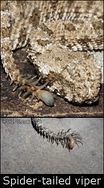These Are Some Great Reasons To Be Afraid Mother Nature (16 pics)