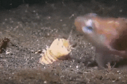 These Are Some Great Reasons To Be Afraid Mother Nature (16 pics)