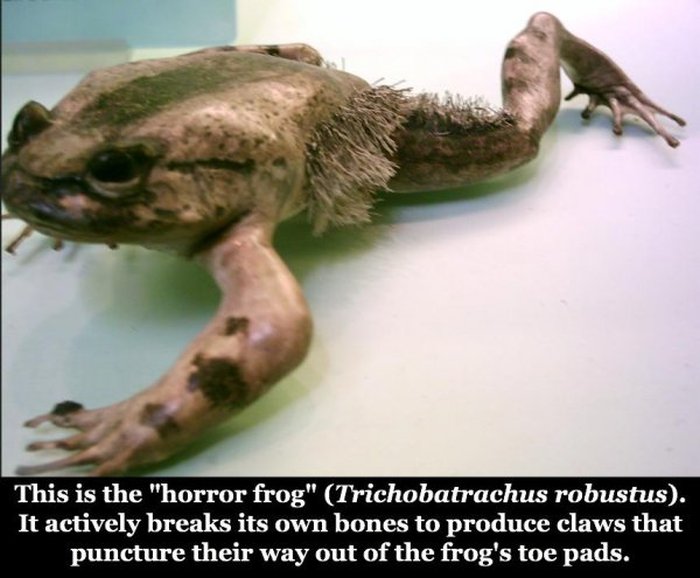 These Are Some Great Reasons To Be Afraid Mother Nature (16 pics)