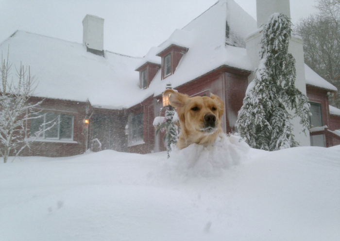 The East Coast Of The United States Is Getting Buried By Snow (30 pics)