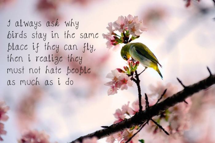 Motivational Posters That Were Made By People Who Hate People (19 pics)