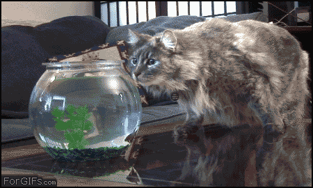 Sometimes Revenge Can Be Hilarious (24 pics)