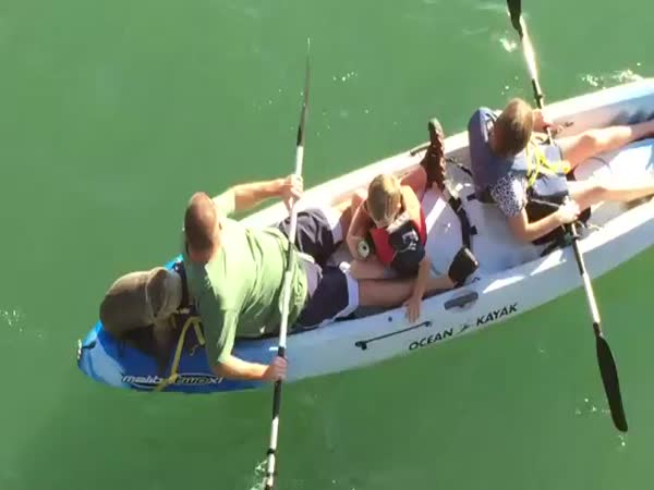 Sea Lion Joins Family