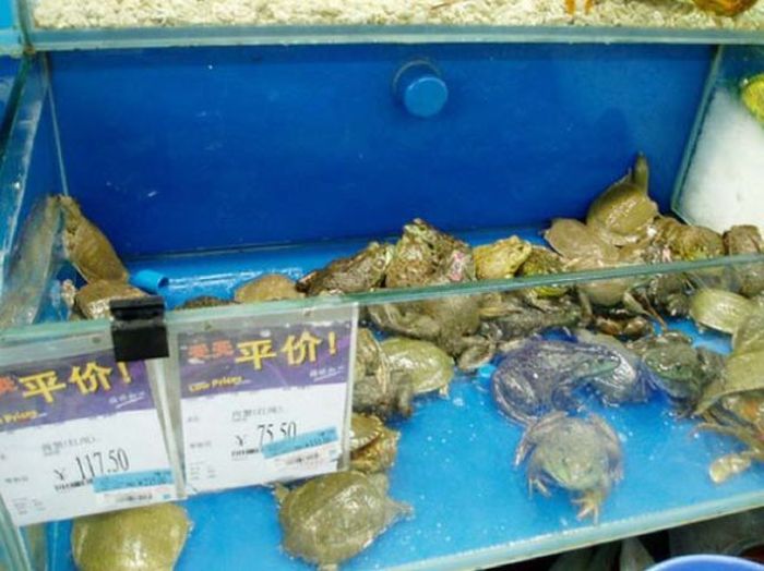 These Are The Things You Will Only Find At A Chinese Walmart (34 pics)